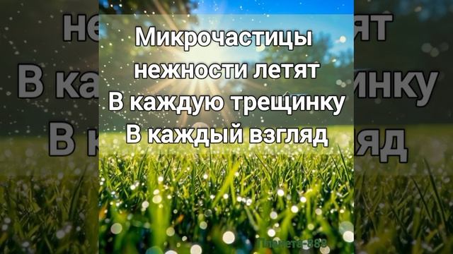 Караоке. Микрочастицы нежности.mp4