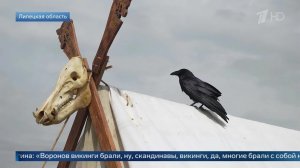 Участница клуба исторической реконструкции объяснила, зачем викинги брали воронов на корабль.