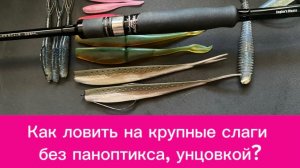 Как ловить щуку и судака на слаги без паноптикса?