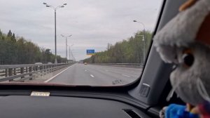 КОТ БАСИК. Большое путешествие Сэра Шурха.