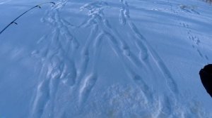Рыбалка с ледовым закатом. Рыбачу в Феврале. Зима и щука на тонкой грани