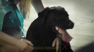 ВЕСЁЛАЯ ❤️ ДЕТСКАЯ 💥 НЕМЕЦКАЯ 🔥 ПЕСЕНКА 👍  ❤️ ✍️  🙏