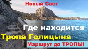 Новый Свет. Как пройти до Тропы Голицына.Весь Маршрут от остановки до Тропы Голицына в Новом Свете