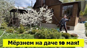 Ураганная погода на даче, а мы трудимся и замерзаем!