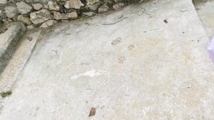 ПОБЫВАЛИ У МОРЯ