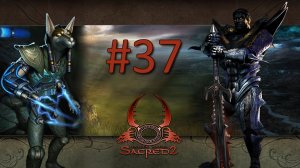 Прохождение Sacred 2: Fallen Angel (Gold Edition) - Часть 37 (Тьма) (кооператив)
