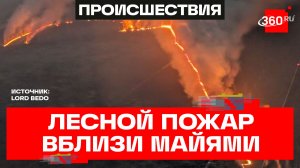 Крупный лесной пожар движется рядом с населенными пунктами в Майами