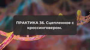Практика 36. Сцепленное с кроссинговером.