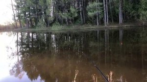 Ильменькассы. Ловля прудовой уклейки.