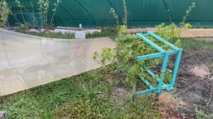 Ураганный ветер принёс от соседей «подарок»🫣