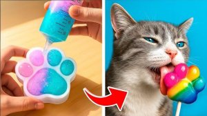 Мы спасли котенка. Лайфхаки для владельцев животных