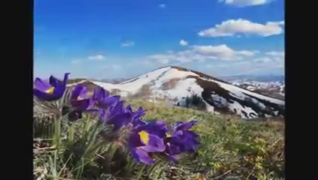 боже какое блаженство