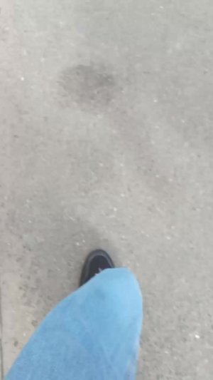трансляция с прогулки