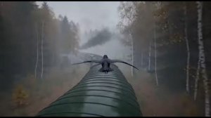 Пепел и Тлен - Вдова