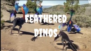 Feathered Dinosaurs: Bird Ancestors?!