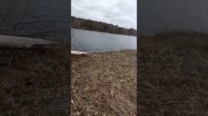 🇷🇺 Покатушки на велосипеде Фет байке по деревне выльыб и на озеро