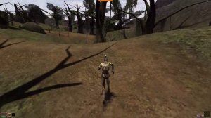 Morrowind in 2026. (OpenMW) dynamic waiting and rest