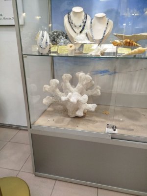 Я красотка