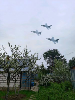 играем в мортик