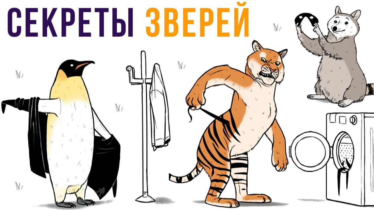 Секреты животных) Комиксы и мемы