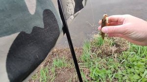 Ветер супротив мормышка )