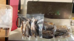 Вакуумация вяленой плотвы для долгого хранения
