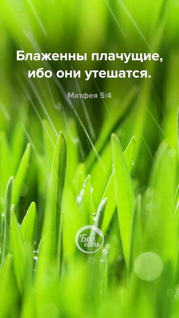 Матфея 5:4