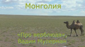 Видеоклип «Монголия» на песню «Про верблюда», Вадим Мулерман
