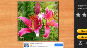 Jigsaw Puzzle Epic 5 Сезон 144 Серия Игра 2026