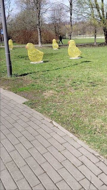 Какие-то новые цыплята на лугу?!