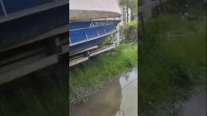 Анькина мечта завести курочку и Петушка