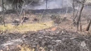 Возгорания травы и мусора тушат пожарные в Южном микрорайоне