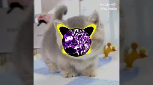 DJ Alex | DJ ASARI - MONTAGEM VOZES FANTASMA | ULTRA SLOWED |