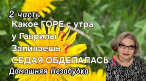 2 часть. Какое ГОРЕ с утра у Гаврилы❓️Запиваешь❓️Седая ОБИДЕЛАСЬ❗️