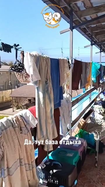 Волонтёры в Туапсе.