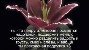 перезалив.