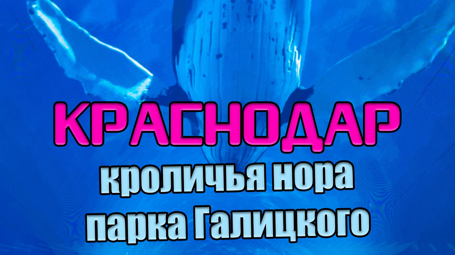 Краснодар. Кроличья нора парка Галицкого