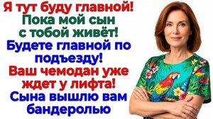 Истории из жизни|Свекровь делила мою кв|Аудио рассказы|Аудиокниги слушать онлайн|Жизненные истории