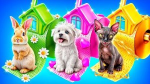 Челлендж одного цвета! Строим секретную комнату для животных!