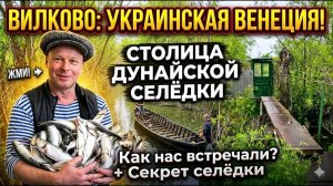 Чем кормят в столице Дунайской селедки?? Вилково 2026: Самый необычный город Украины