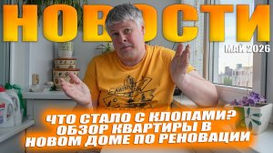 Дайджест новостей. Обзор квартиры в доме по реновации в Москве. Что с клопами?