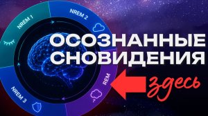 Почему осознанные сновидения получаются под утро?