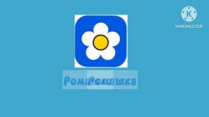 студия ромашка