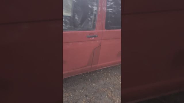 Обзор помидора )