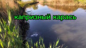 мормышинг утром