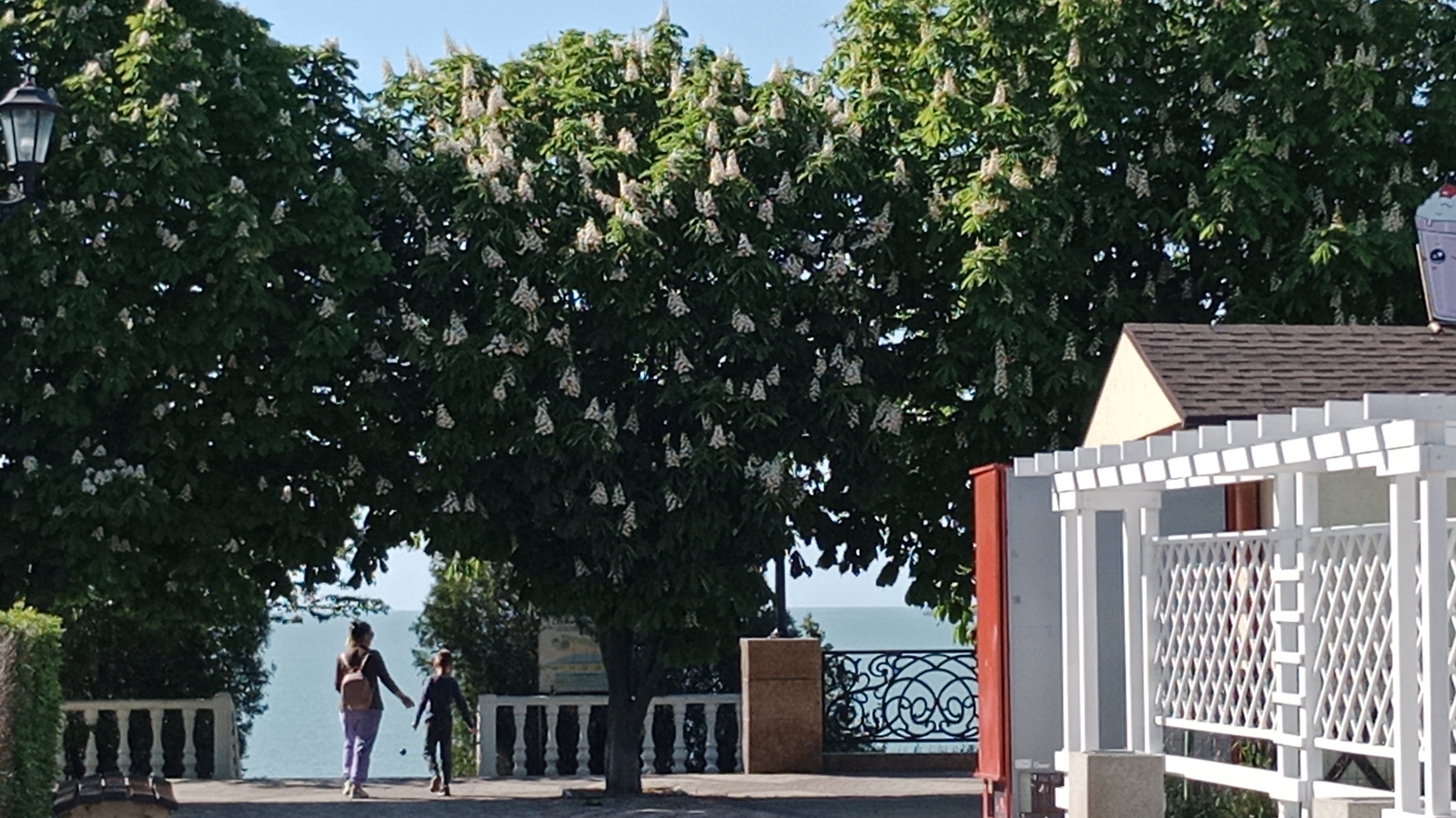 В Ейске +27☀️ Открыт купальный сезон🌊 Здесь всем хорошо 🌊☀️ Они подумали, что она их слопает...