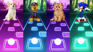 Мультик для детей. Баттл: Пёс, Щенячий Патруль, Кот, Соник. Tiles Hop