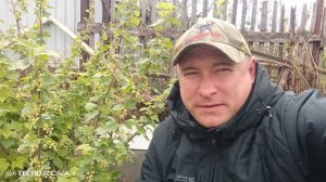 блог/Денис Савенков/обзор/жду доставку Мотоблок/