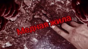 В лесу нашёл медный кабель. А на участке — предметы из СССР.