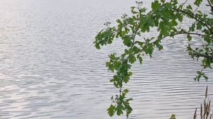 10.05.26 На озере Кисловодск